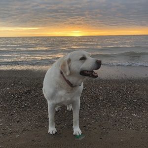 Meet your Posher, Jane